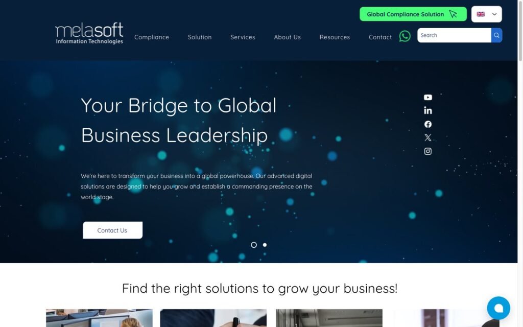 melasoft web sitesi ekran görüntüsü